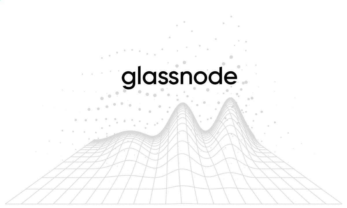 Glassnode analytics dashboard for digital asset research example 2